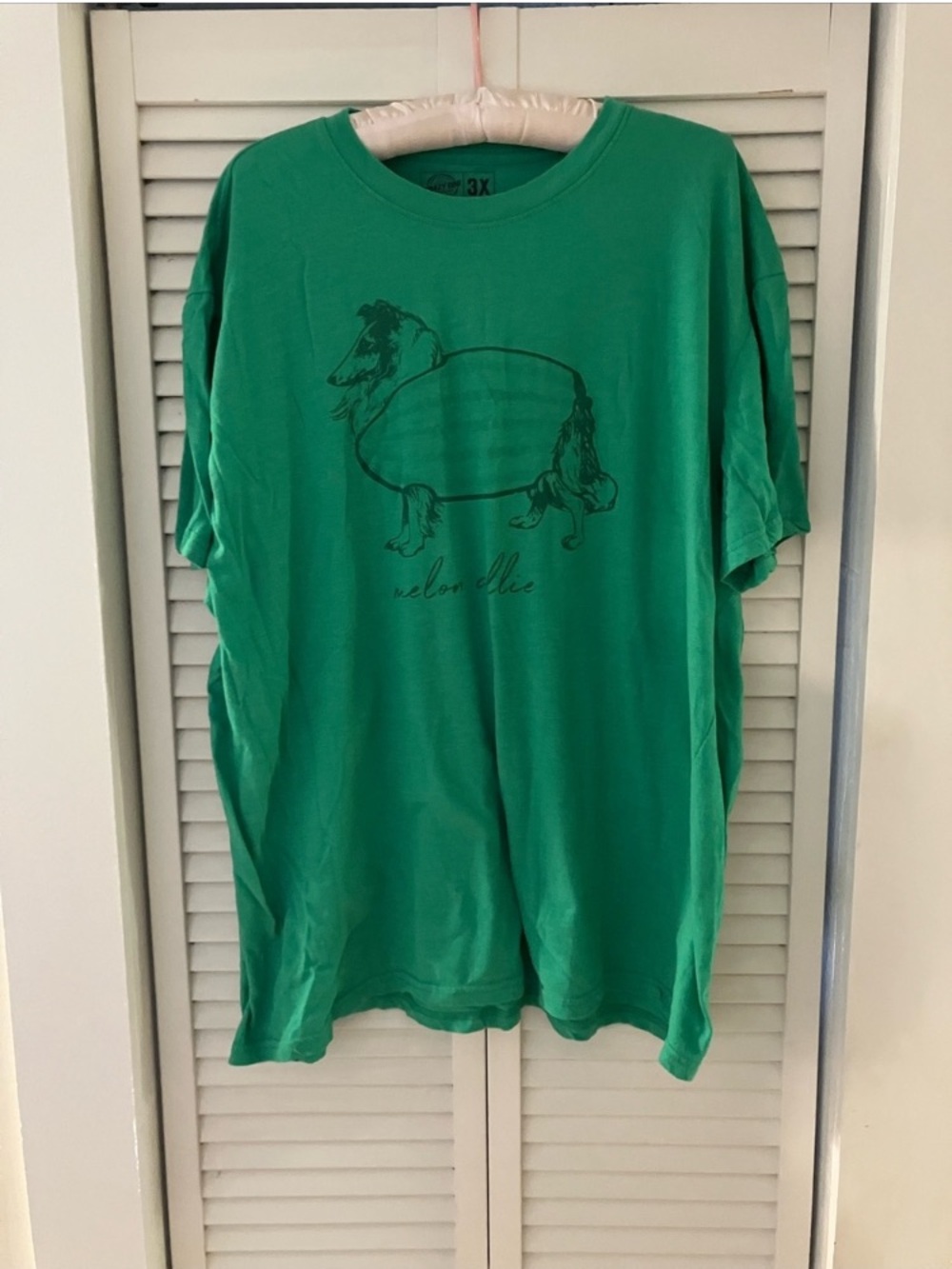 Crazy Dog Melon Collie Green Tee Size 3X Dog Lover Lassie Melancholy